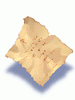 Papel Rasgado