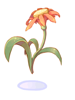 Flor Bonita