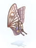 Grandes Asas de Borboleta