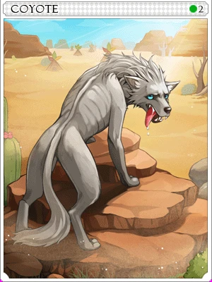 Carta Coyote