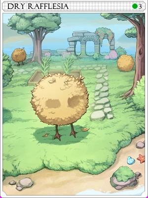Dried Rafflesia Card