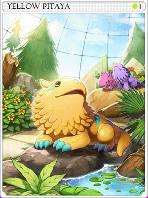 Yellow Pitaya Card