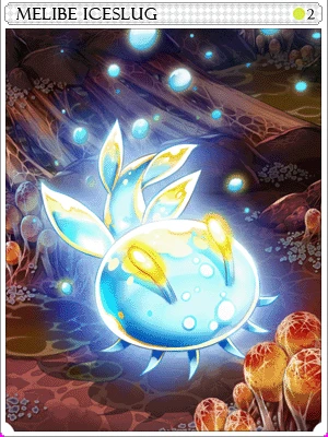 Melibe Slug Card