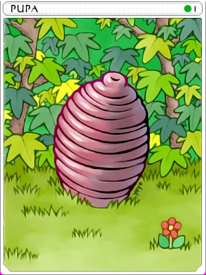 Carta Pupa